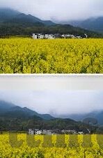 91麻豆在线播放-91麻豆，洞悉成人视频内容的影响与界限